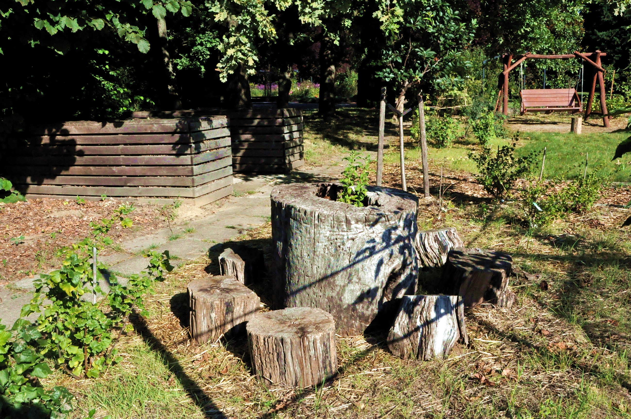 DSC_7317.JPG